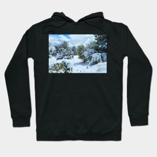 Pristine Winter Chill Hoodie